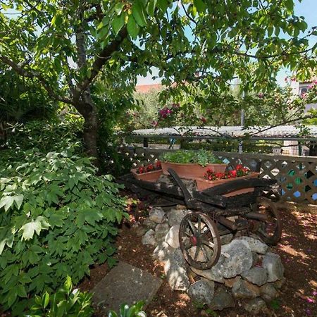 Apartments Loredana Poreč Zewnętrze zdjęcie