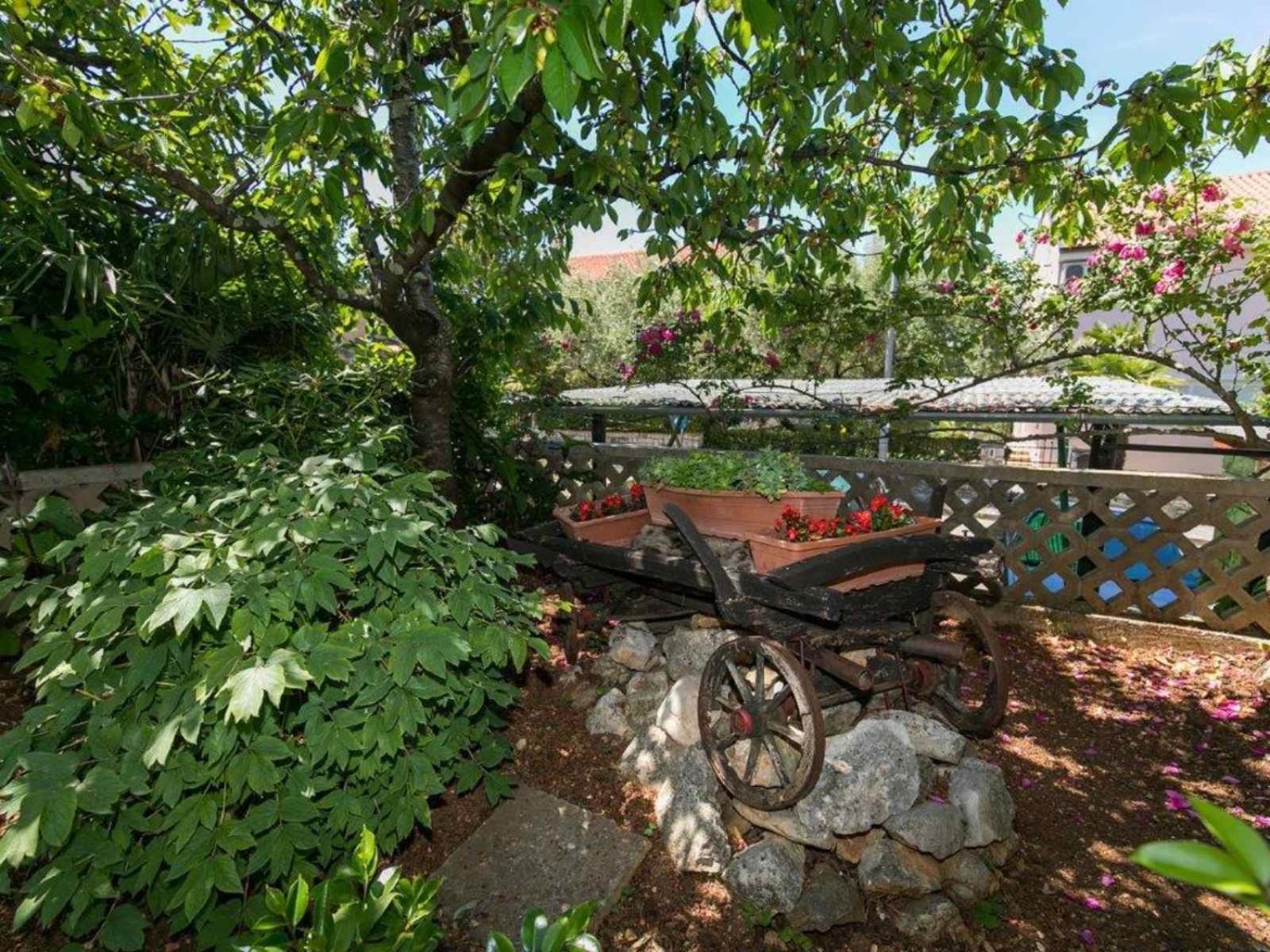 Apartments Loredana Poreč Zewnętrze zdjęcie